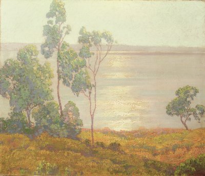 El sol de la mañana, San Diego de Maurice Braun