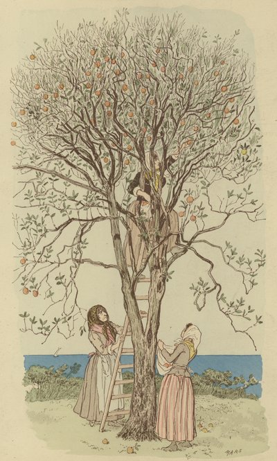 Recogiendo naranjas en el Mediterráneo de Maurice Charles Mathieu Bonvoisin