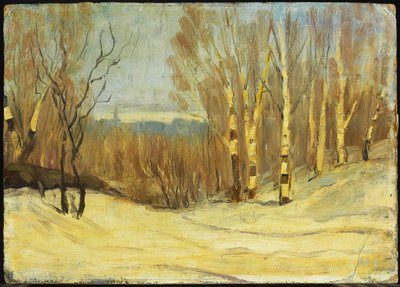 Invierno cerca de Montreal, alrededor de 1896 de Maurice Galbraith Cullen