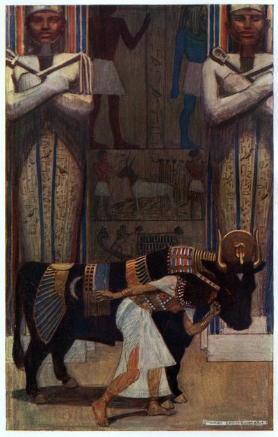 La esposa joven y el toro de baño, ilustración de 