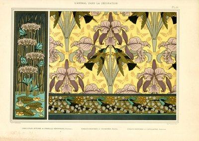 Motivos Art Nouveau con libélulas, orquídeas y colibríes (litografía) de Maurice Pillard Verneuil