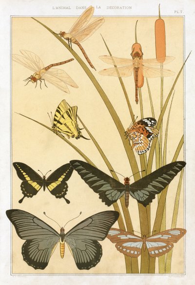Mariposas, de "L