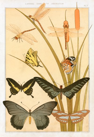 Mariposas, pub. 1897 de Maurice Pillard Verneuil
