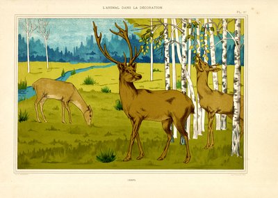 Ciervo en paisaje de bosque de abedules (litografía) de Maurice Pillard Verneuil