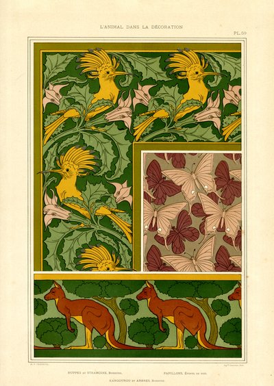 Motivos de animales exóticos: cacatúas, mariposas y canguros (litografía) de Maurice Pillard Verneuil