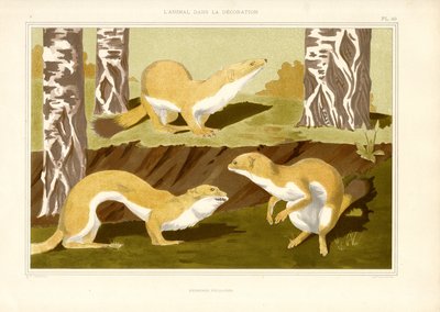  de Maurice Pillard Verneuil