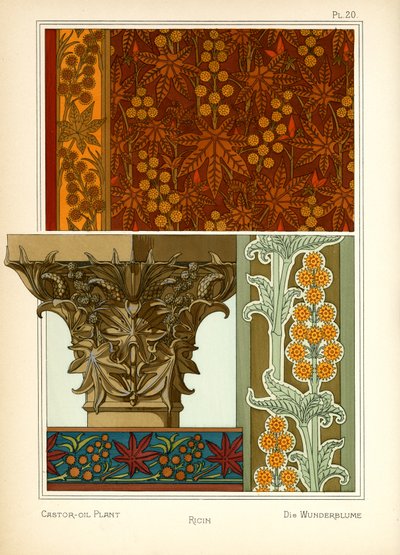 La planta de aceite de ricino (litografía en color) de Maurice Pillard Verneuil