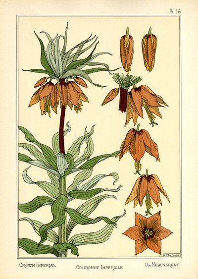 La Corona Imperial (litografía en color) de Maurice Pillard Verneuil
