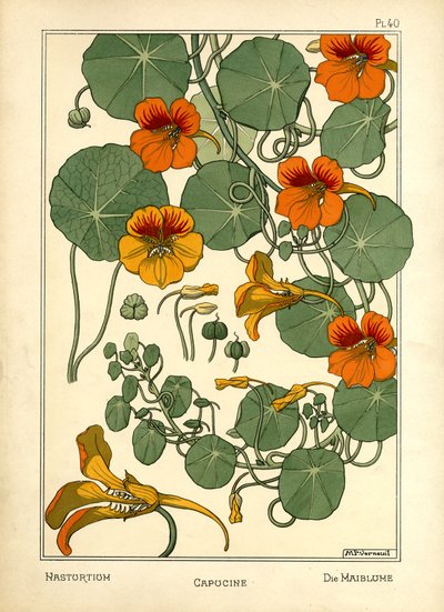 La capuchina (litografía en color) de Maurice Pillard Verneuil