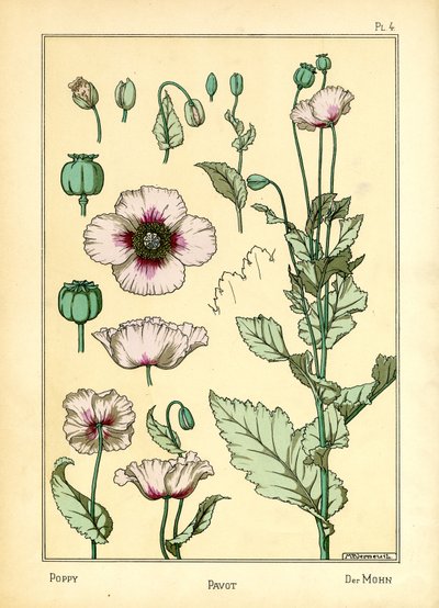 La amapola (litografía en color) de Maurice Pillard Verneuil