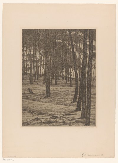Dennenbosch I (título original del objeto)
Bos (título original) de Maurits van der Valk (signed by artist)
