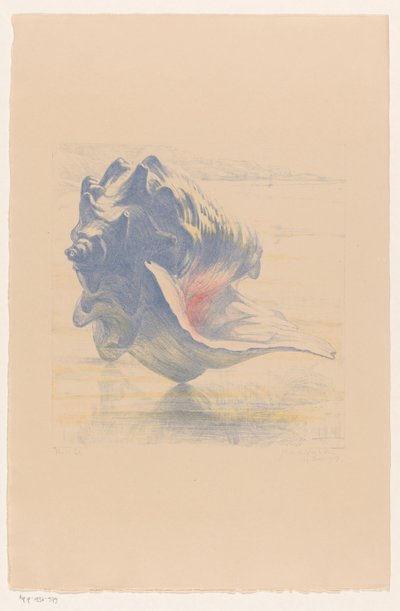 Schelp de Maurits van der Valk (signed by artist)