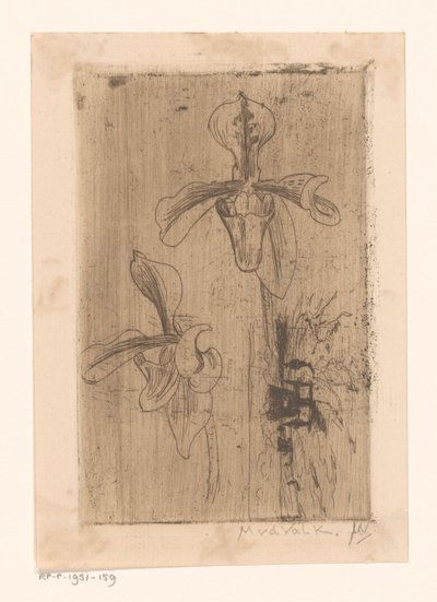 Dos orquídeas y un carro en la playa de Maurits van der Valk (signed by artist)