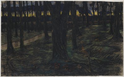 Vista del bosque al atardecer de Maurits van der Valk