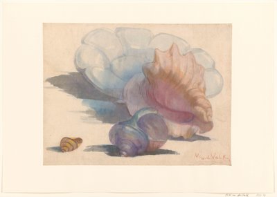 Tres conchas en un plato plisado de Delft de Maurits van der Valk