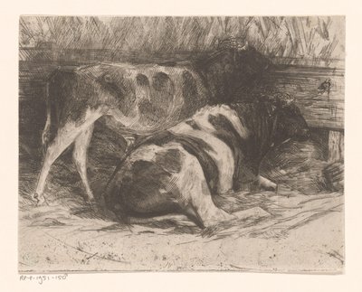 Vacas en un establo de Maurits van der Valk