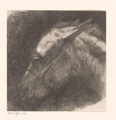 Cabeza de mula de Maurits van der Valk