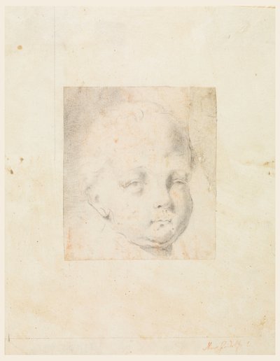 Dibujo, Estudio: Cabeza de niño, 1810-34 de Mauro Gandolfi