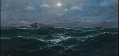 Alemán: Steamship on the high seas de Max Jensen