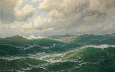 Gaviotas sobre las olas de Max Jensen