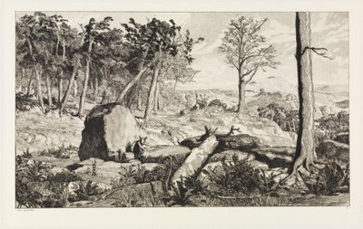 Simplicius en la soledad del bosque (Intermezzi, opus IV, lámina 10) de Max Klinger