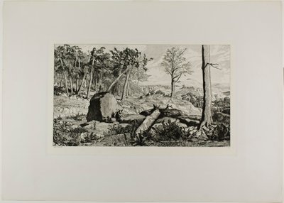 Simplicius en la soledad del bosque, placa diez de Intermezzos de Max Klinger