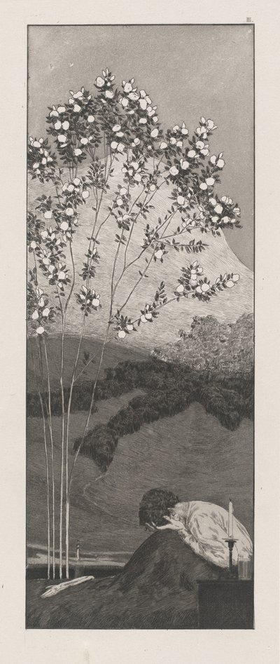 Anhelos Wünsches, 1878-1880 de Max Klinger