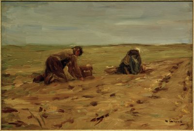 Cosecha de patatas en las dunas de Max Liebermann