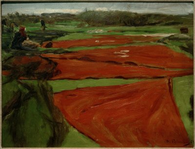 Pradera con redes y velas extendidas de Max Liebermann