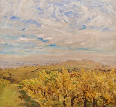 Principios de otoño en el Palatinado. Viñedos cerca de Neukastel, 1927 de Max Slevogt