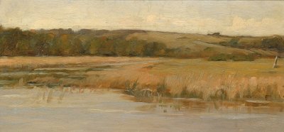 Colinas y marismas de Max Weyl