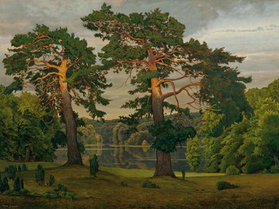 Pinos en la linde del bosque de Max Zaeper