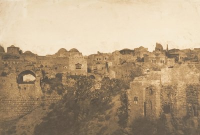 Vista de la Piscina Probatica y un barrio de Jerusalén de Maxime Du Camp