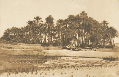 Vista de la isla de Elefantina, frente a Asuán de Maxime Du Camp