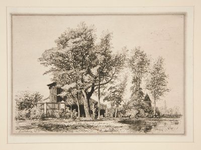 Acacia Trees de Maxime Lalanne