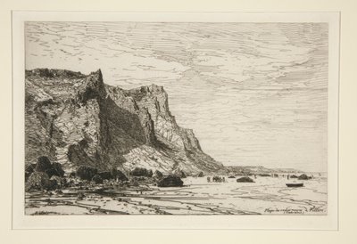 ¿Playa de las vacas negras? Villers (Calvados) (Playa de las Vacas Negras en Villers [Cavaldos]) de Maxime Lalanne