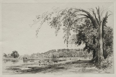 Richmond de Maxime Lalanne