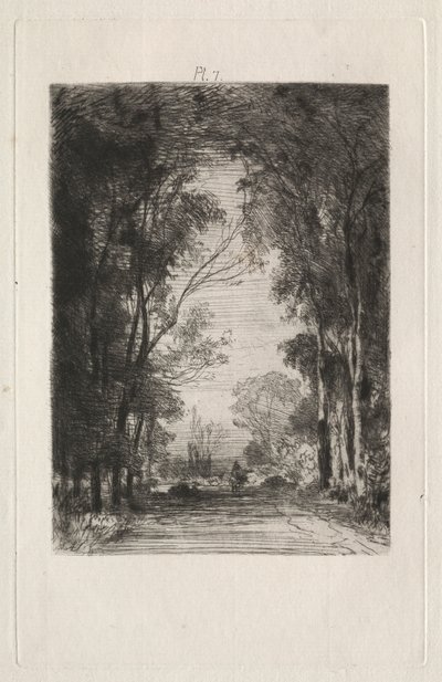 Viajero en un camino en un bosque de Maxime Lalanne
