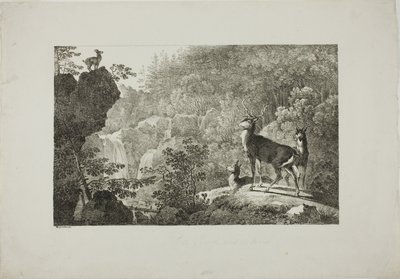 El ciervo y el gamo de Maximilian Josef Wagenbauer