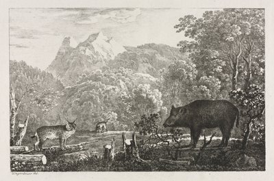 Wild Boar, Wildcat and Lynx de Maximilian Josef Wagenbauer