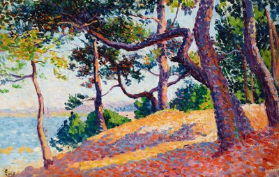 Paisaje en Saint-Tropez, 1892 de Maximilien Luce