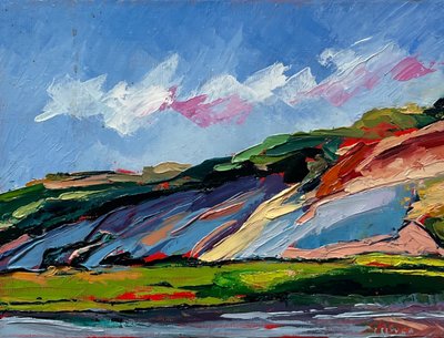 Paisaje colorido y con textura de Maxine Shore