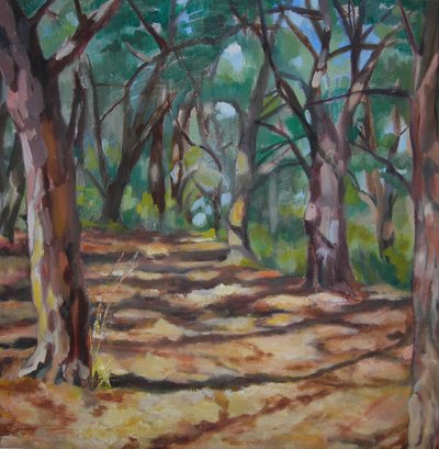 Sendero boscoso salpicado de luz de Maxine Shore