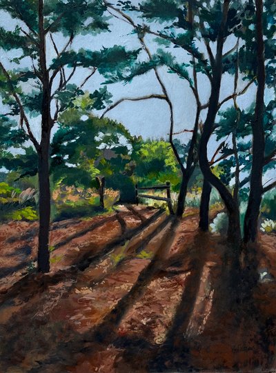Sendero del bosque: Sombras largas de Maxine Shore