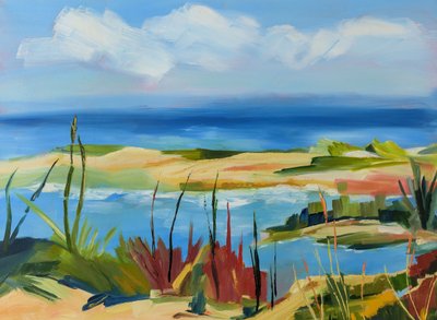 Un paisaje costero lleno de vida de Maxine Shore