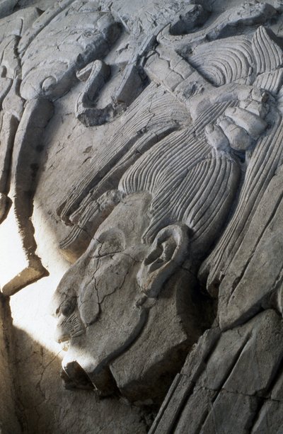 Relieve en una pirámide, Período Clásico Tardío (600-900 d.C.) de Mayan