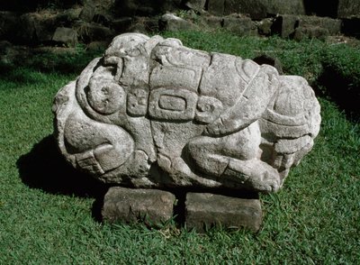Altar zoomorfo tallado en un bloque de gres de Mayan