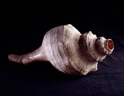 Arte precolombino, civilización maya, período clásico: concha marina utilizada como instrumento musical (trompeta). De Uaxactún, Guatemala. Guatemala, Museo Nazionale di Archeologia e Etnologia de Mayan Mayan