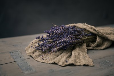 Ramo de lavanda seca de Mayra Pama