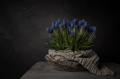 Flores azules rústicas de Mayra Pama